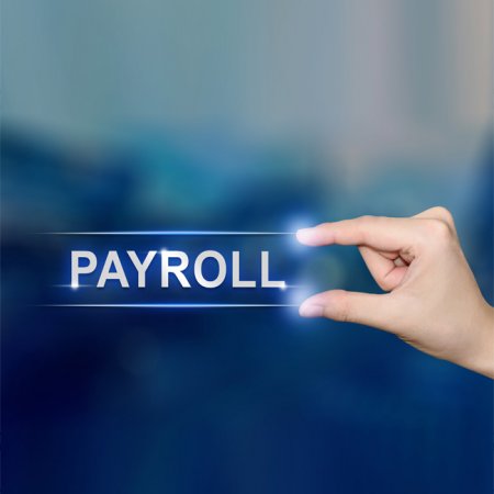 Payroll Management <span>Consultants</span>